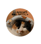 まるゴールデンウィークのスタンプ！（個別スタンプ：5）