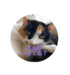 まるゴールデンウィークのスタンプ！（個別スタンプ：6）