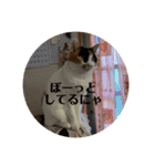 まるゴールデンウィークのスタンプ！（個別スタンプ：7）