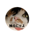 まるゴールデンウィークのスタンプ！（個別スタンプ：8）