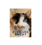 まるゴールデンウィークのスタンプ！（個別スタンプ：11）