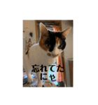 まるゴールデンウィークのスタンプ！（個別スタンプ：13）