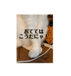 まるゴールデンウィークのスタンプ！（個別スタンプ：14）