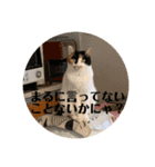 まるゴールデンウィークのスタンプ！（個別スタンプ：15）