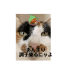 まるゴールデンウィークのスタンプ！（個別スタンプ：17）