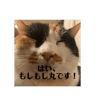 まるゴールデンウィークのスタンプ！（個別スタンプ：19）