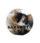 まるゴールデンウィークのスタンプ！（個別スタンプ：20）
