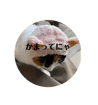 まるゴールデンウィークのスタンプ！（個別スタンプ：23）