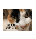まるゴールデンウィークのスタンプ！（個別スタンプ：24）