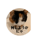 まるゴールデンウィークのスタンプ！（個別スタンプ：26）