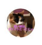 まるゴールデンウィークのスタンプ！（個別スタンプ：32）
