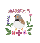 kikiの小鳥スタンプ・イラスト編2（個別スタンプ：2）