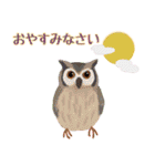 kikiの小鳥スタンプ・イラスト編2（個別スタンプ：8）