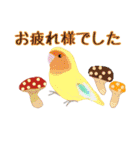 kikiの小鳥スタンプ・イラスト編2（個別スタンプ：9）