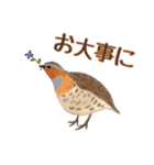 kikiの小鳥スタンプ・イラスト編2（個別スタンプ：10）