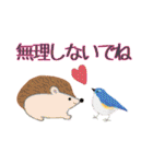 kikiの小鳥スタンプ・イラスト編2（個別スタンプ：11）