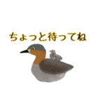 kikiの小鳥スタンプ・イラスト編2（個別スタンプ：20）