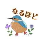 kikiの小鳥スタンプ・イラスト編2（個別スタンプ：30）