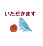 kikiの小鳥スタンプ・イラスト編2（個別スタンプ：31）