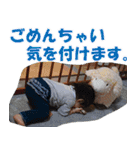 TKGファミリーの専用スタンプ(Ver5)（個別スタンプ：7）
