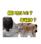 TKGファミリーの専用スタンプ(Ver5)（個別スタンプ：37）