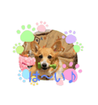プリティさいちゃん（個別スタンプ：6）