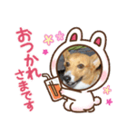 プリティさいちゃん（個別スタンプ：8）