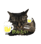 ロンさんの日常1（個別スタンプ：6）