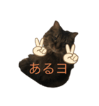 ロンさんの日常1（個別スタンプ：7）