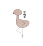 鳥さんシリーズseason2（個別スタンプ：5）