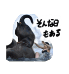 強く生きよう。（個別スタンプ：14）