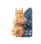 親父と猫（個別スタンプ：2）
