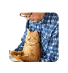 親父と猫（個別スタンプ：4）