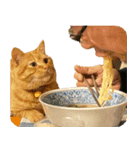 親父と猫（個別スタンプ：5）