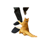親父と猫（個別スタンプ：7）