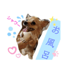 ナナちゃんスタンプ【よく使うワン②】（個別スタンプ：10）