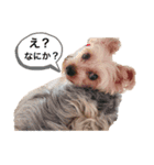 きゃわいい我が子（個別スタンプ：2）