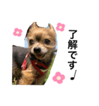 きゃわいい我が子（個別スタンプ：8）