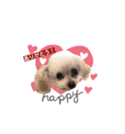 ここちゃんかわいいねスタンプ（個別スタンプ：2）