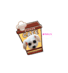ここちゃんかわいいねスタンプ（個別スタンプ：4）