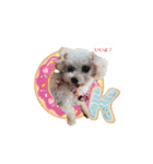 ここちゃんかわいいねスタンプ（個別スタンプ：6）