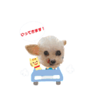 ここちゃんかわいいねスタンプ（個別スタンプ：9）