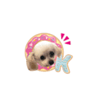 ここちゃんかわいいねスタンプ（個別スタンプ：13）