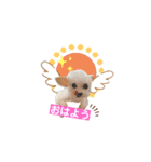 ここちゃんかわいいねスタンプ（個別スタンプ：15）