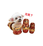 ここちゃんかわいいねスタンプ（個別スタンプ：18）