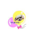 ここちゃんかわいいねスタンプ（個別スタンプ：19）