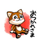 柴犬_ニコちゃん（個別スタンプ：1）