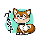 柴犬_ニコちゃん（個別スタンプ：3）