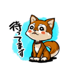 柴犬_ニコちゃん（個別スタンプ：12）