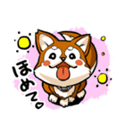 柴犬_ニコちゃん（個別スタンプ：13）